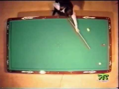 Lezioni di Biliardo " Rotazione Forza Impatto (5) " Michele Cosci