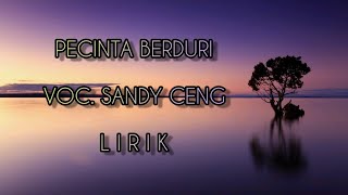 Download lagu Pecinta berduri Voc. Sandy Ceng (LIRIK) mp3