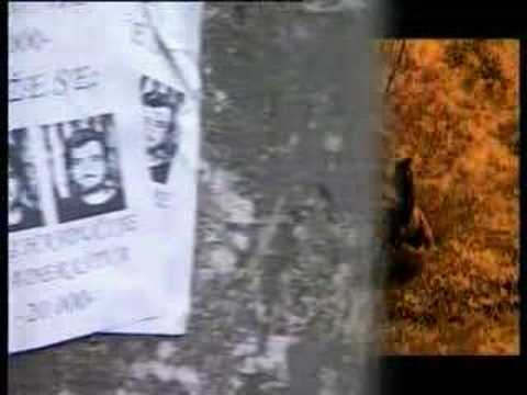 Cinkusi - Oj krapinske vuske staze (2002)