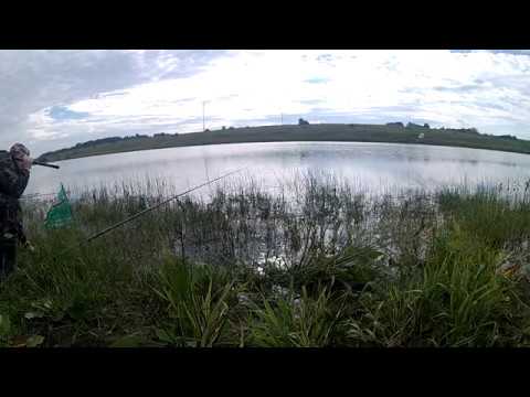 Карась с берега на поплавочную удочку