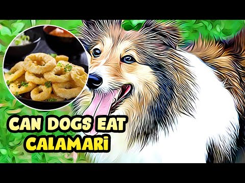 Can Dogs Eat Calamari