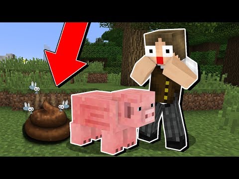 MY PIG POOPED!  THE MOST USELESS MODS IN MINECRAFT!
