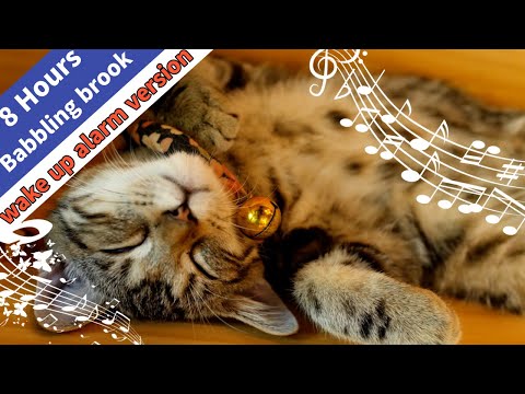 Made for himself by insomnia patient / for stress relief and good sleep / Cat purring + stream sound