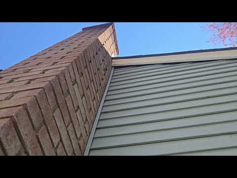 Mice Use the Chimney to Enter the Home in Franklin Park, NJ