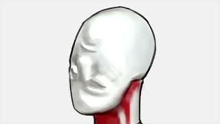 Cover art for The World Looks White