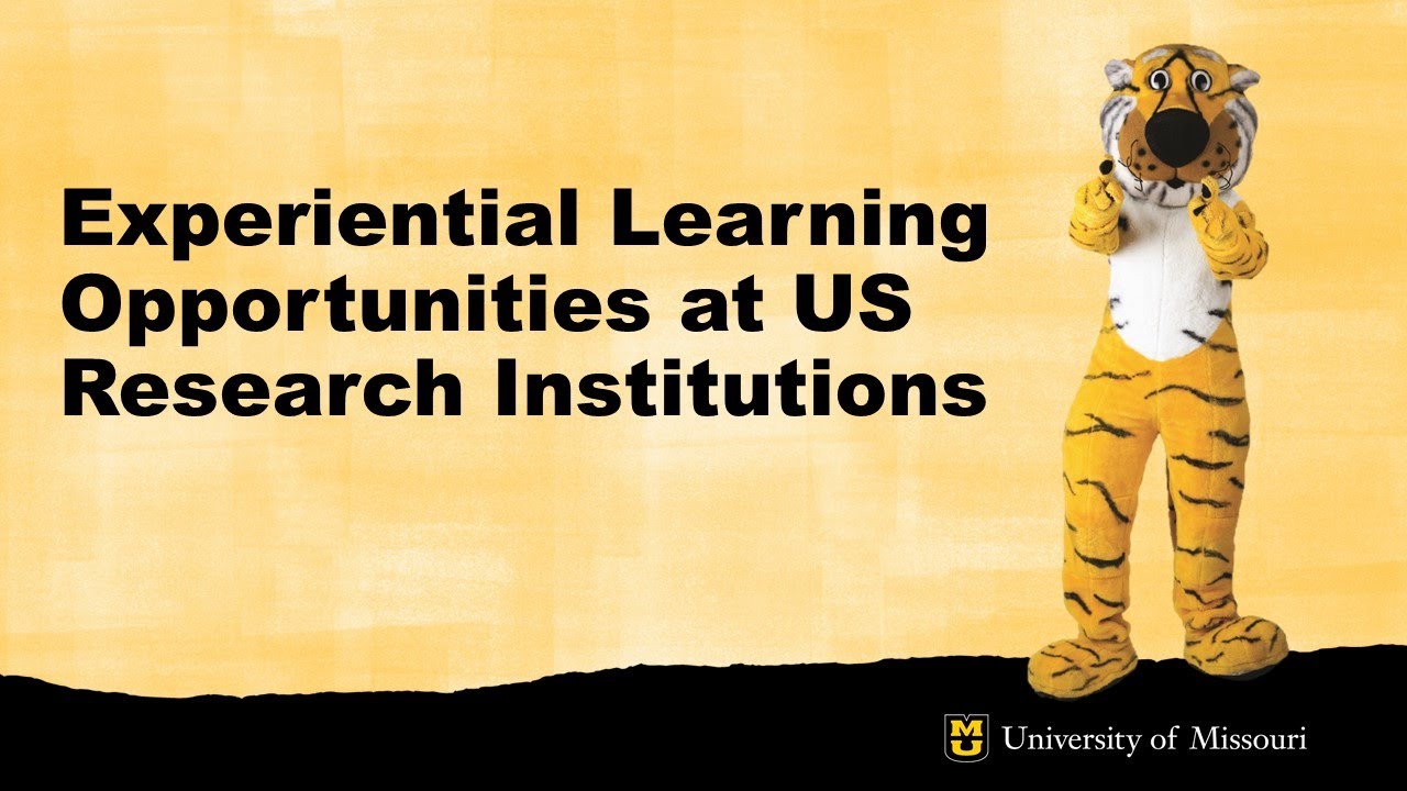 Experiential Learning Opportunities - Session 2