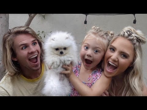 download lagu mp3 mp4 Posie Chien, download lagu Posie Chien gratis, unduh video klip Posie Chien