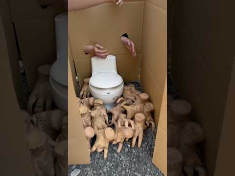 小屋に行くと普段見ることがない生物や貴重品があり微笑んだ