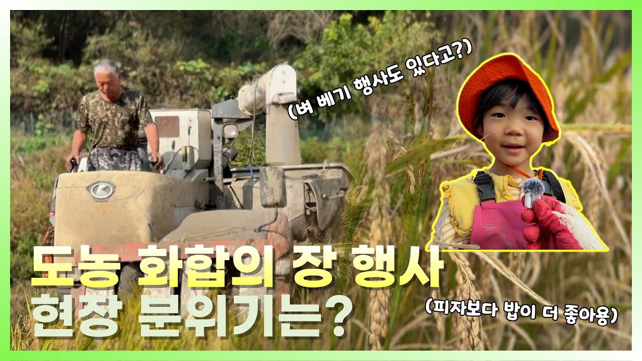 도시와 시골의 화합!? [강원365]