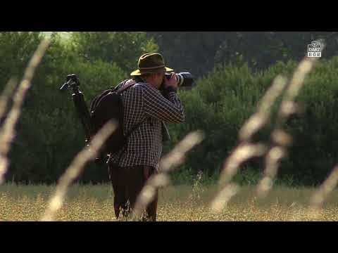 Darz Bór zapowiedź odcinka 250