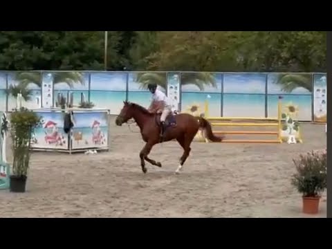 Try Me de Wiqui - Show