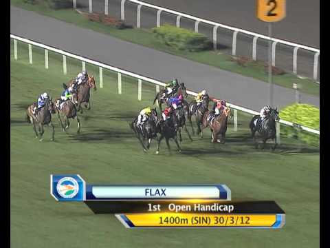 Singapore Airlines International Cup 2012 Contenders (Flax)