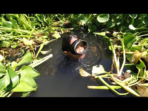 SE03EP022 Part 2 - "RESBAK" LABANAN sa ILALIM ng mga WATER LILIES | San Pablo City, Laguna