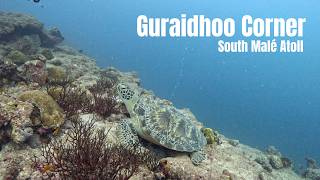 Guraidhoo Corner - South Malé Atoll