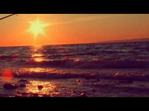 They Made their stand at Mountain bay￼