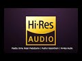 Paattu Onnu Naan Padattuma Pudhu Vasantham S A Raj Kumar P Susheela S P B Hi Res Audio