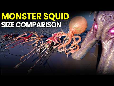 Monster Squid Size Comparison | KRAKEN Vs COLOSSAL SQUID