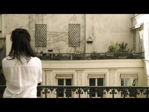 Valparaiso with Phoebe Killdeer - Wild Birds