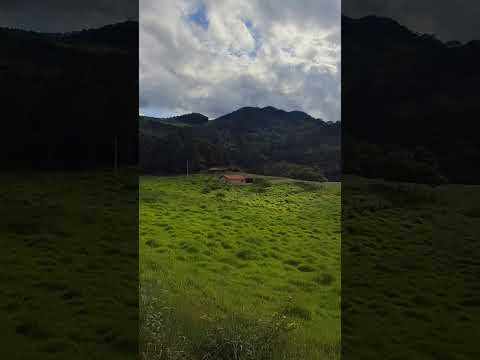 Comunidade da Terça Senhora dos Remedios MG 🔺️