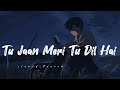 Tu Jaan Meri Tu Dil Hai Slowed Reverb Song Lyrics ️