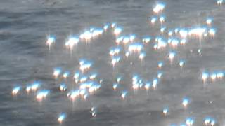 Bill Nelson   Soon September