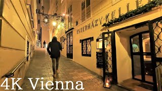 【ウィーン街歩き🌟Vienna Travel】ウィーン夜散歩⭕Night Walk in Vienna~Wien