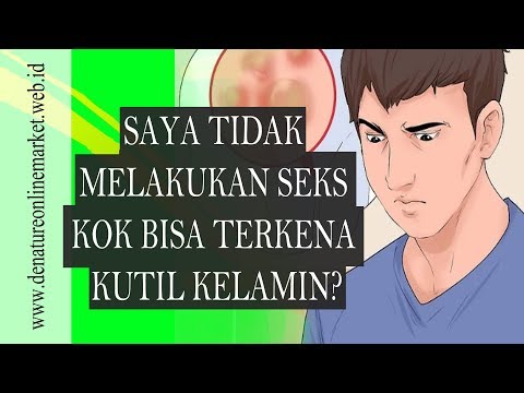Komentar tentang penis kecil Untuk pengobatan potensi