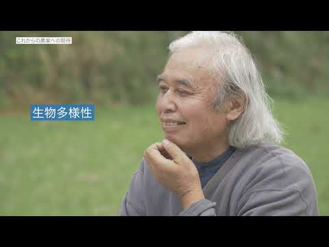 芝生や庭でカタバミと戦うにはどうすればよいですか？有機栽培についての誠実な答え!  庭園