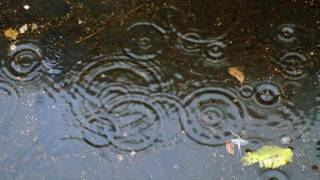 Ogni giorno di pioggia che Dio manda in terra - Francesco De Gregori