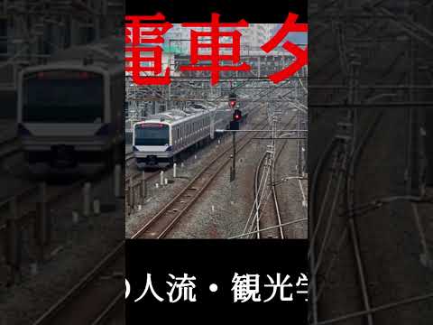 観光政策学科 2025年9月1日
