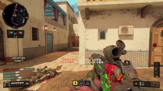 [FPS]えちごやがお送りする「COD:BO4！」