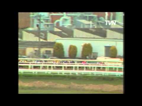 1983 Golden Slipper - Sir Dapper.