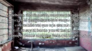 Porta - Tela de Araña | LETRA (Ft. Shinoflow)