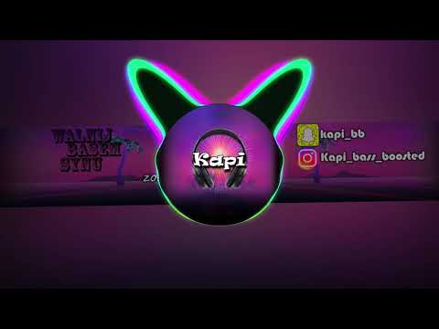 fligru ft. wavyzien, skat - ZDND (Bass Boosted)