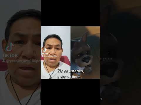 No al maltrato animal.  #IlovemyPlanetmore #ILovememore.Org. #cronicasdeunamujerabusada