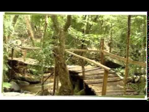 Sin Sisamuth - Teuk Ho Kraom Spean