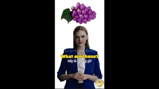 Pre A1 Starters English speaking practice | Test 11