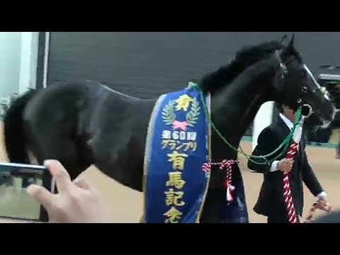 有馬記念　優勝馬ゴールドアクター号　2015年12月27日（日）中山競馬場