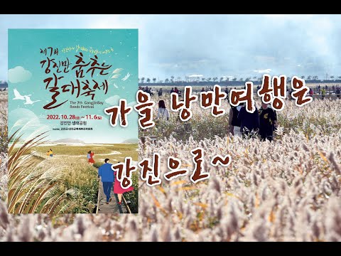 올 가을 낭만 여행은 강진으로 떠나볼까요( 강진만 춤추는 갈대축제 )