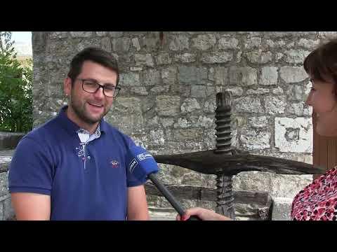 DALMACIJA MOGA OKA 22.08.2022.