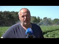 Ouddorpse boeren beregenen, maar hoe lang nog?