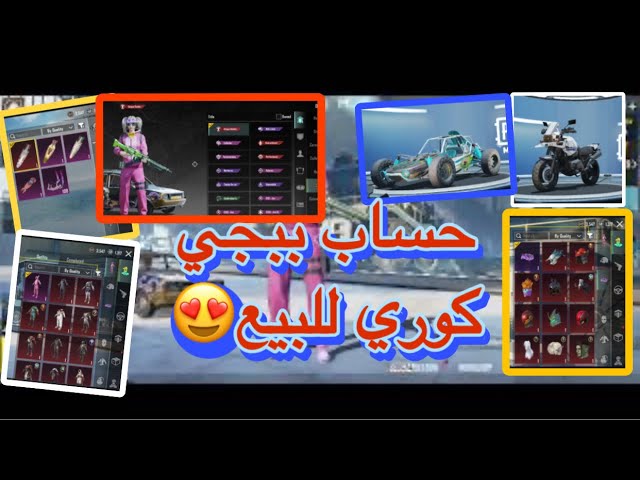 حساب ببجي كورية  كل مسح وشعر القرنين النادر