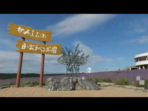 【FLOWER FARMS IN FURANO & BIEI】HOKKAIDO BEST SUMMER