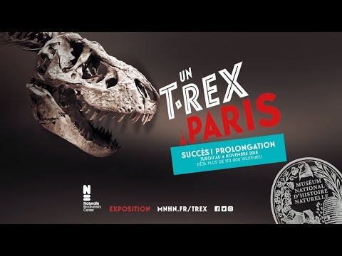 Exposition Un T. Rex à Paris 