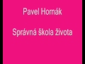 Správná škola života - Pavel Horňák