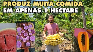 SITIO AUTO SUSTENTÁVEL!!