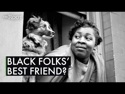 The Complex Relationship Between Black People and Pets