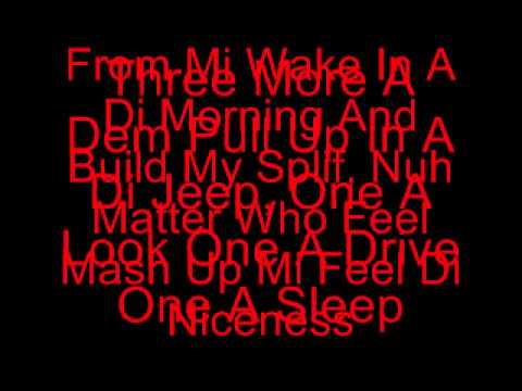 Gaza Slim - Lite Di Weed with Lyrics (Bankrobber Riddim)