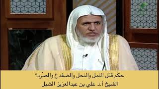 صورة أ.د. علي الشبل | ما حكم قتل النمل والنحل والضفدع والصرد؟