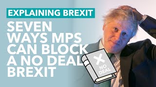 7 Ways MPs Can Stop a No Deal Brexit - Brexit Expl...